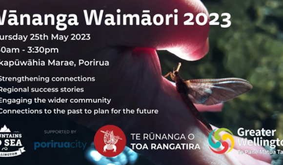 Wānanga Waimāori