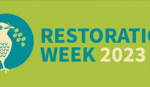 Restoration Week invite banner 2023 002