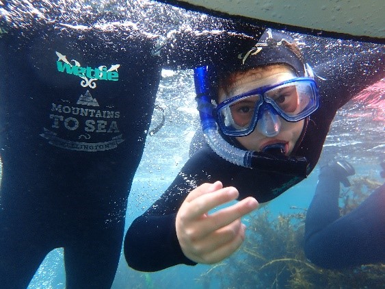 An underwater view of a child in googles, snorkel and wetsuit 