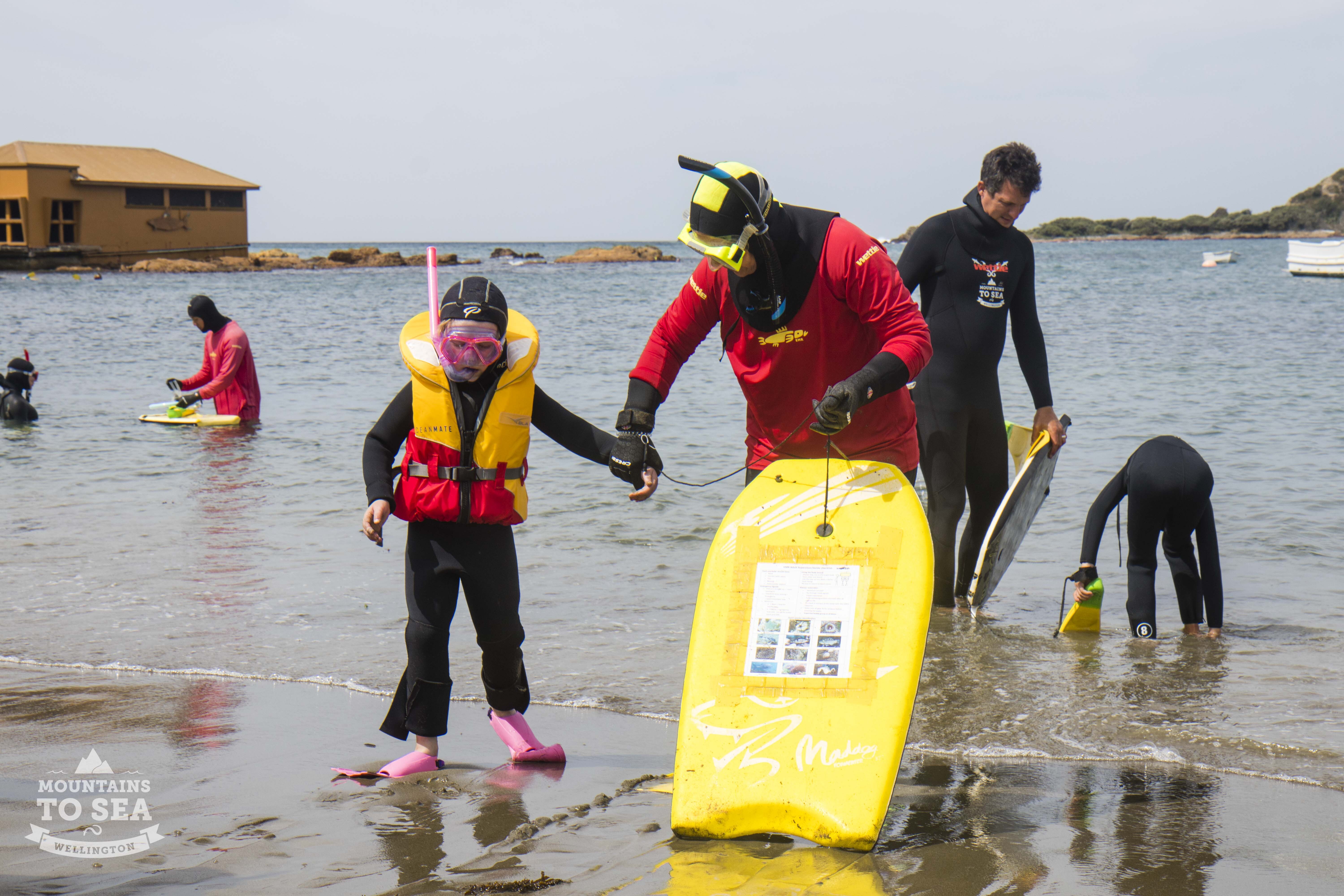 Adults and children in wetsuits and snorkels in the shallows of a beach