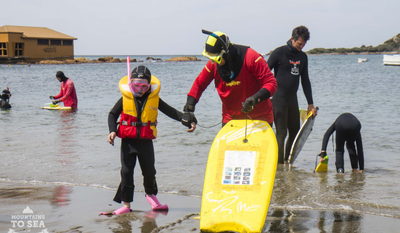 Free Community Snorkel - Taputeranga Marine Reserve