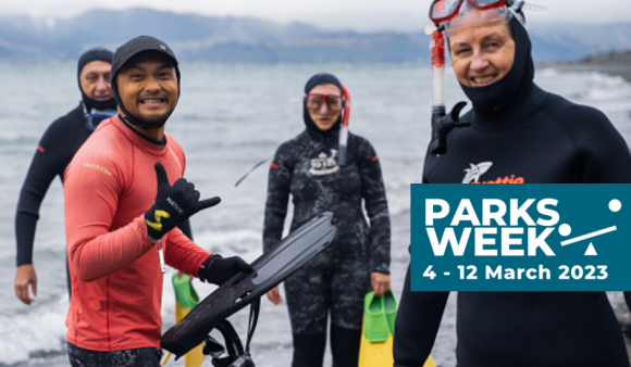 Free Community Snorkel - Whitireia Park