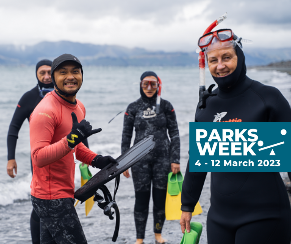 snorkel parks week