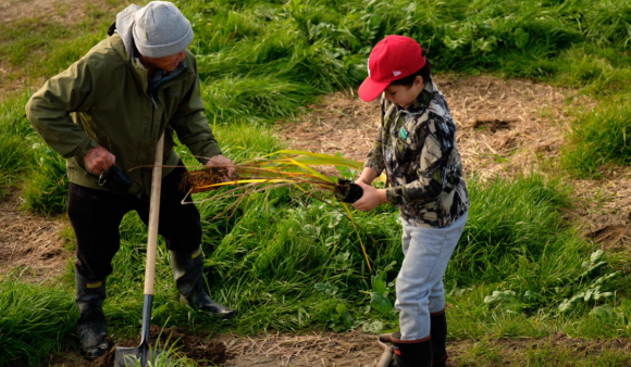 Battle Hill Community Planting