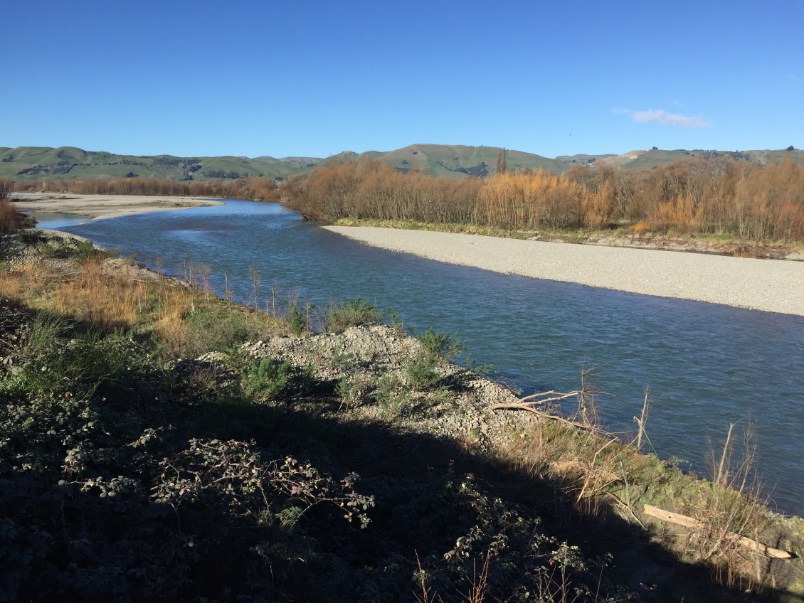 A view down the Ruamāhanga River