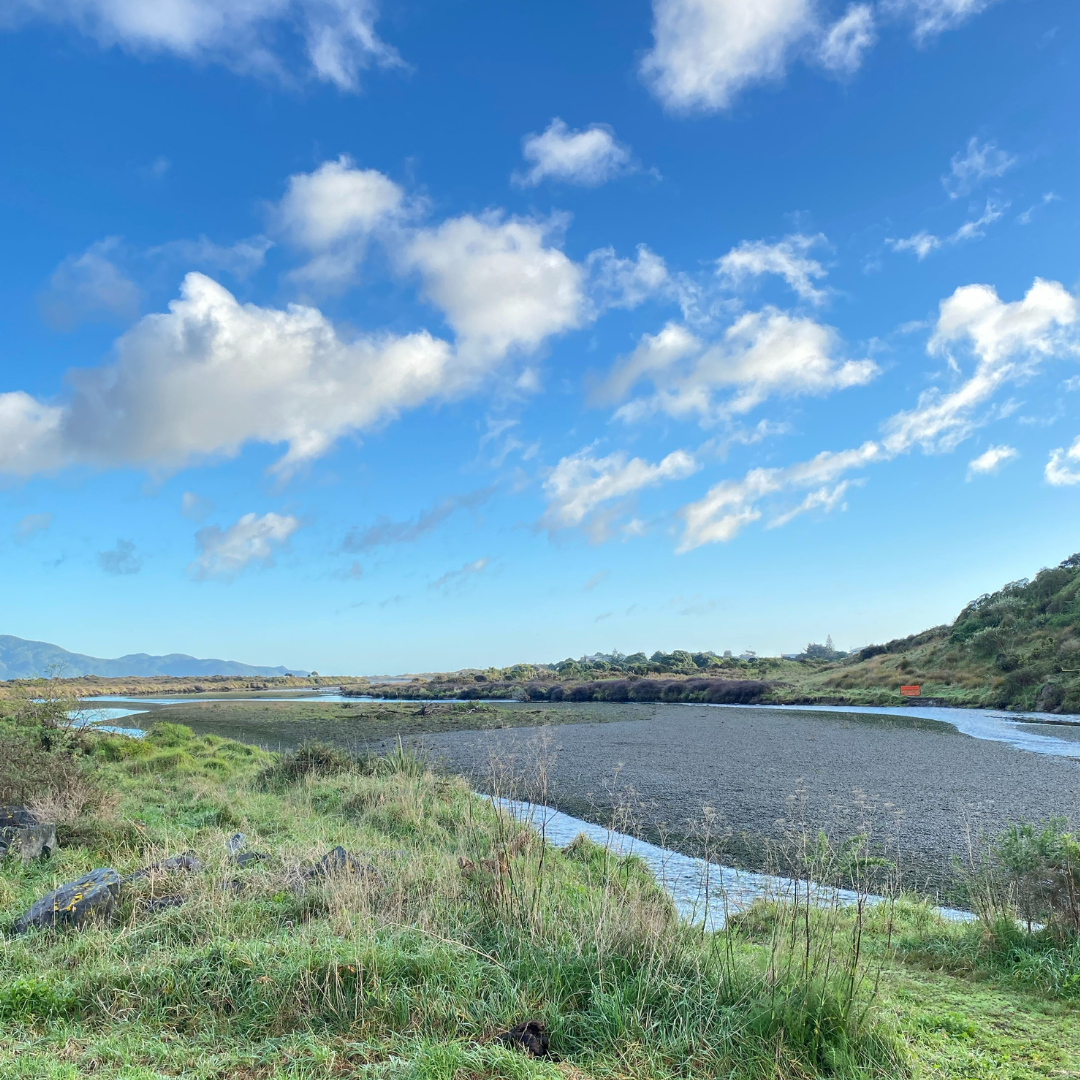 View of the Waikanae River on a sunny day