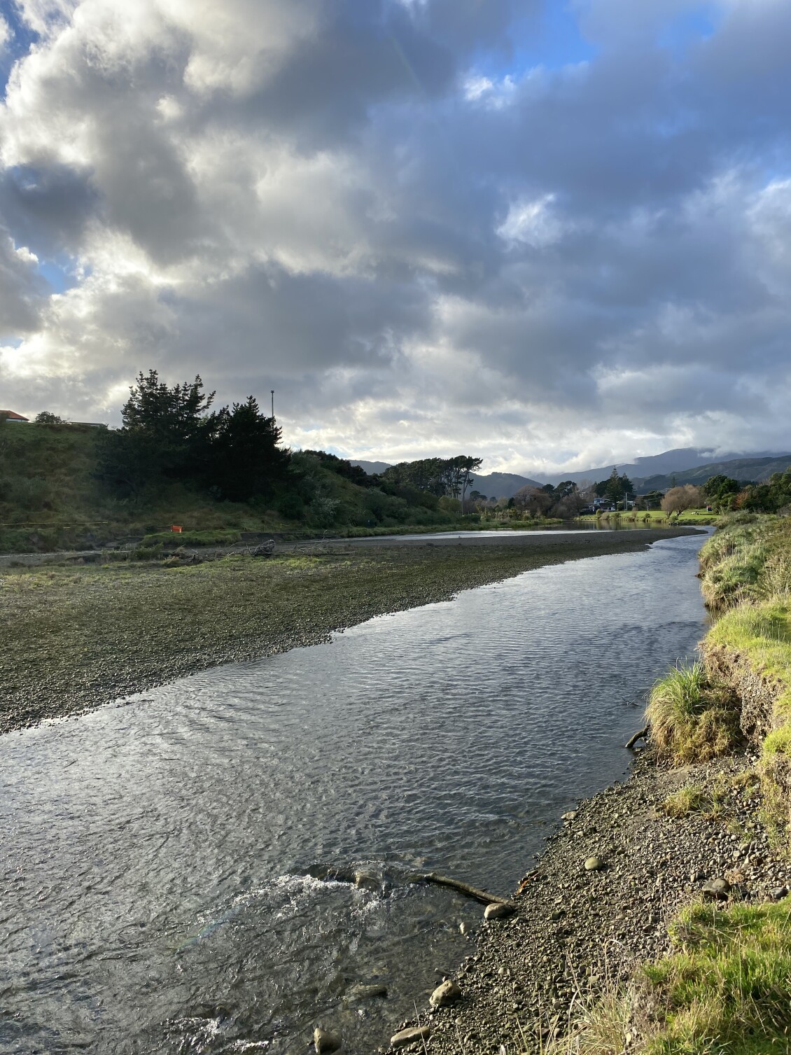 A view of the Waikanae River on a sunny day