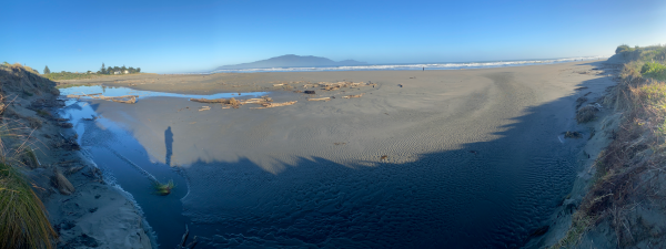 View of Waimeha Stream’s position on Waikanae Beach, seen from the dune near Field Way and facing west toward the sea, with Kāpiti Island visible on the horizon.