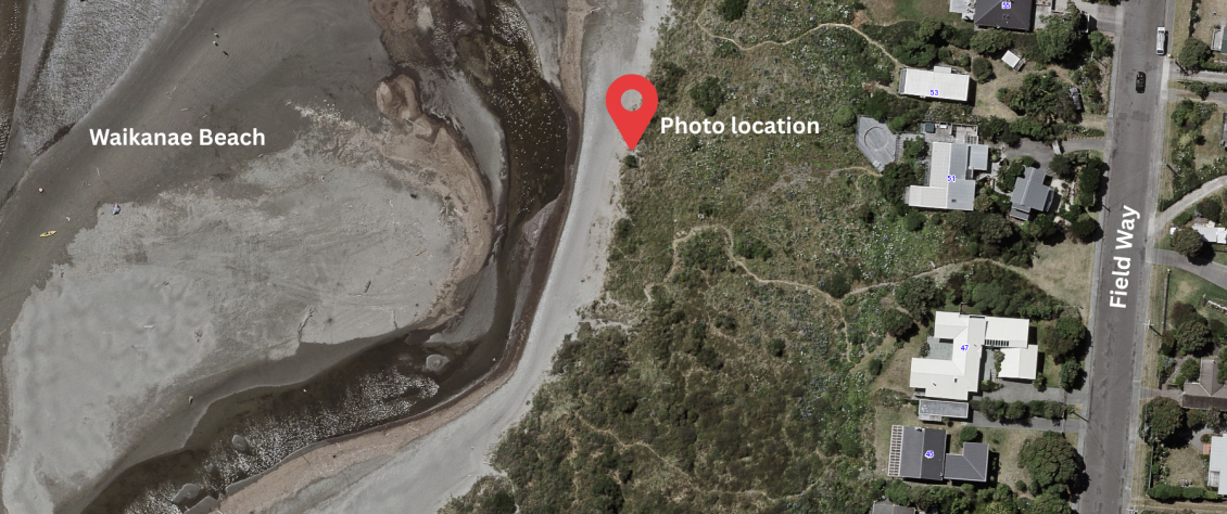 A satellite map showing the coastline at Waikanae Beach. The sandy beach and tidal area are on the left, while vegetated dunes and residential properties are on the right. A red map pin labelled ‘Photo location’ is placed on a path near the edge of the dunes. Nearby street text labels include ‘Field Way’ on the right side of the image. 