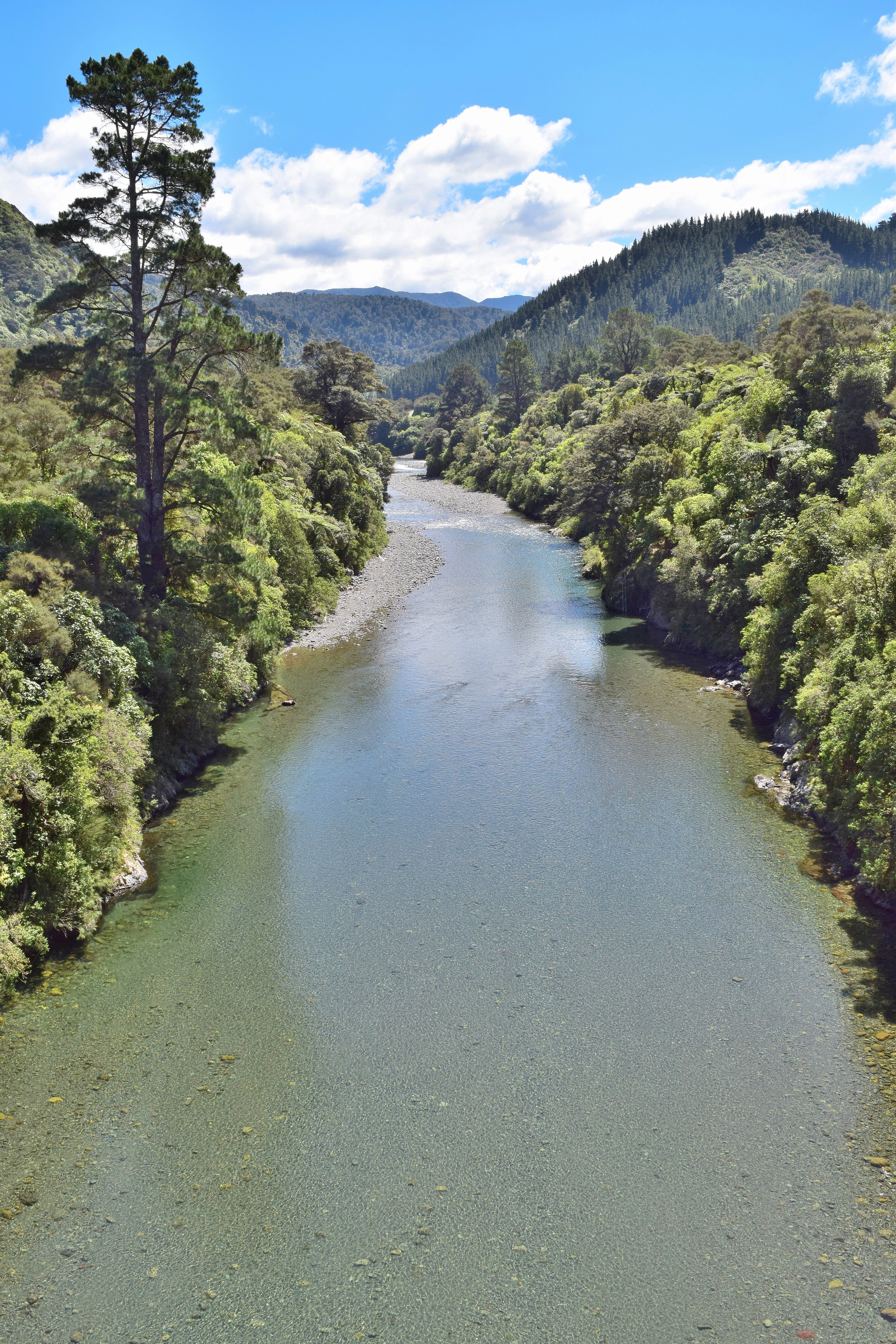 A view along the Waiōhine River on a bright sunny day