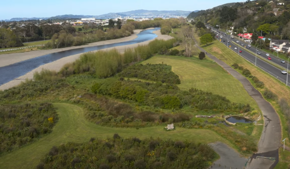 Belmont wetland
