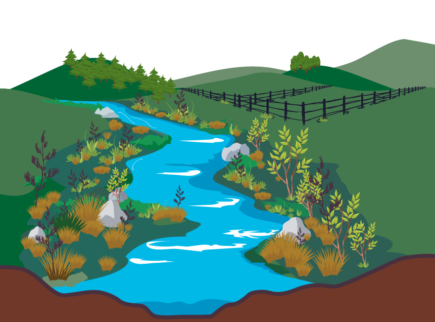 Illustration of a stream flowing through a wide grassy floodplain with dense vegetation along its banks, including shrubs and small trees. Rocks are scattered near the water, and a fenced area is visible on the right side, with rolling hills and a forest in the background.