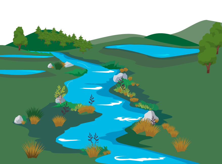 Illustration of a stream winding through a grassy area with shrubs and rocks along its banks. In the background, there are several small ponds surrounded by green hills and scattered trees, with a forested area further back.