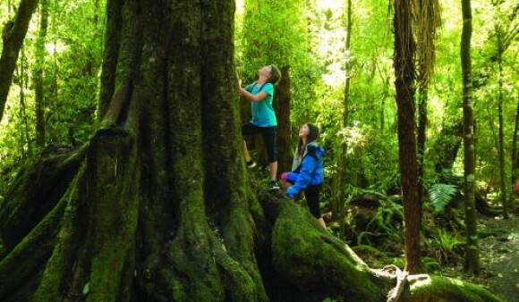 resizedimage500332 kaitoke treasure hunt