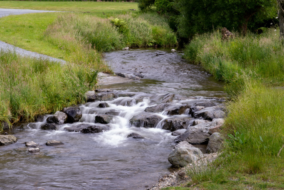 A stream running through Battle Hill Regional Park