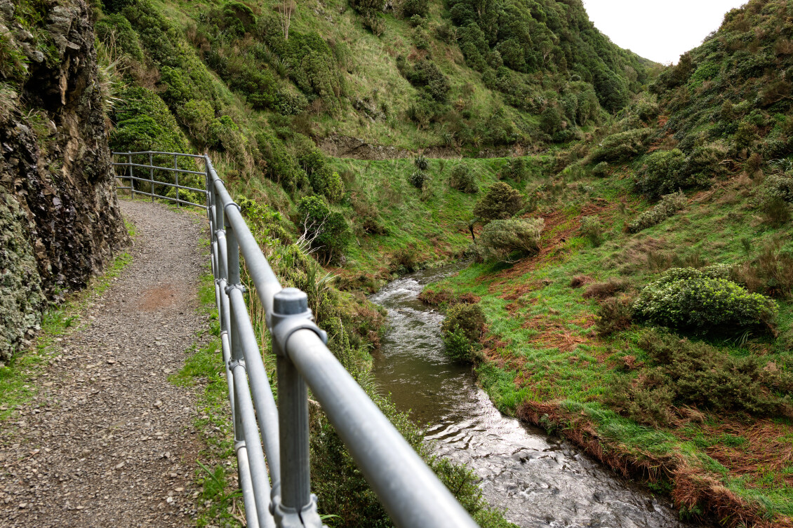 A view of the stream and landscape from Korokoro Stream track in Belmont Park
