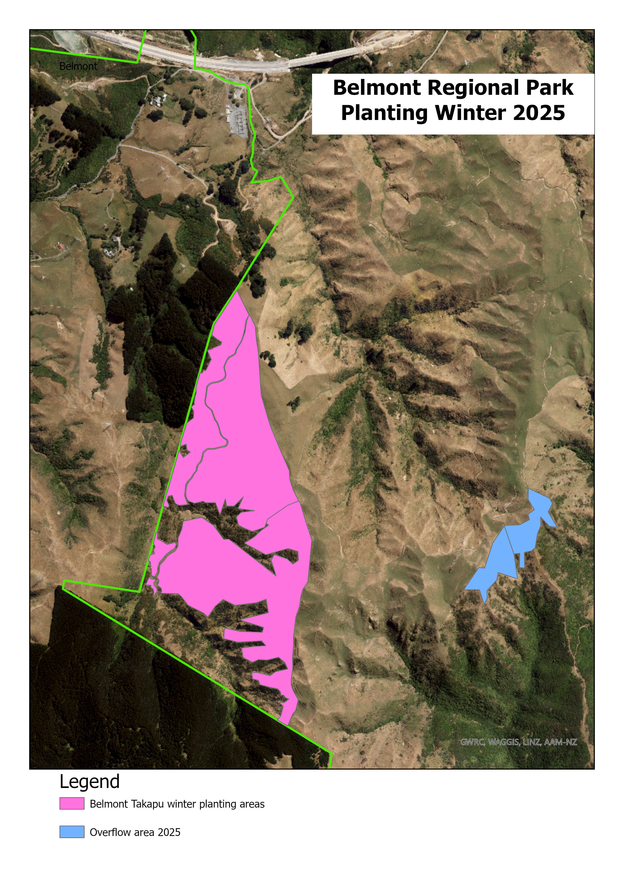Map of planting areas in Belmont Regional Park for winter 2025