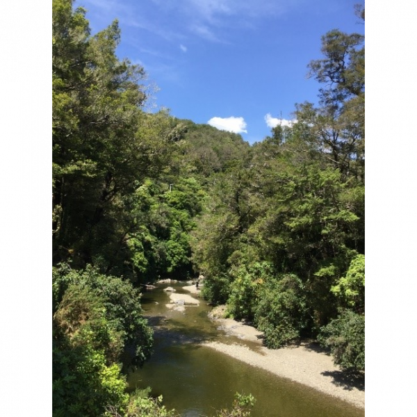 A view down the river at Kaitoke Regional Park