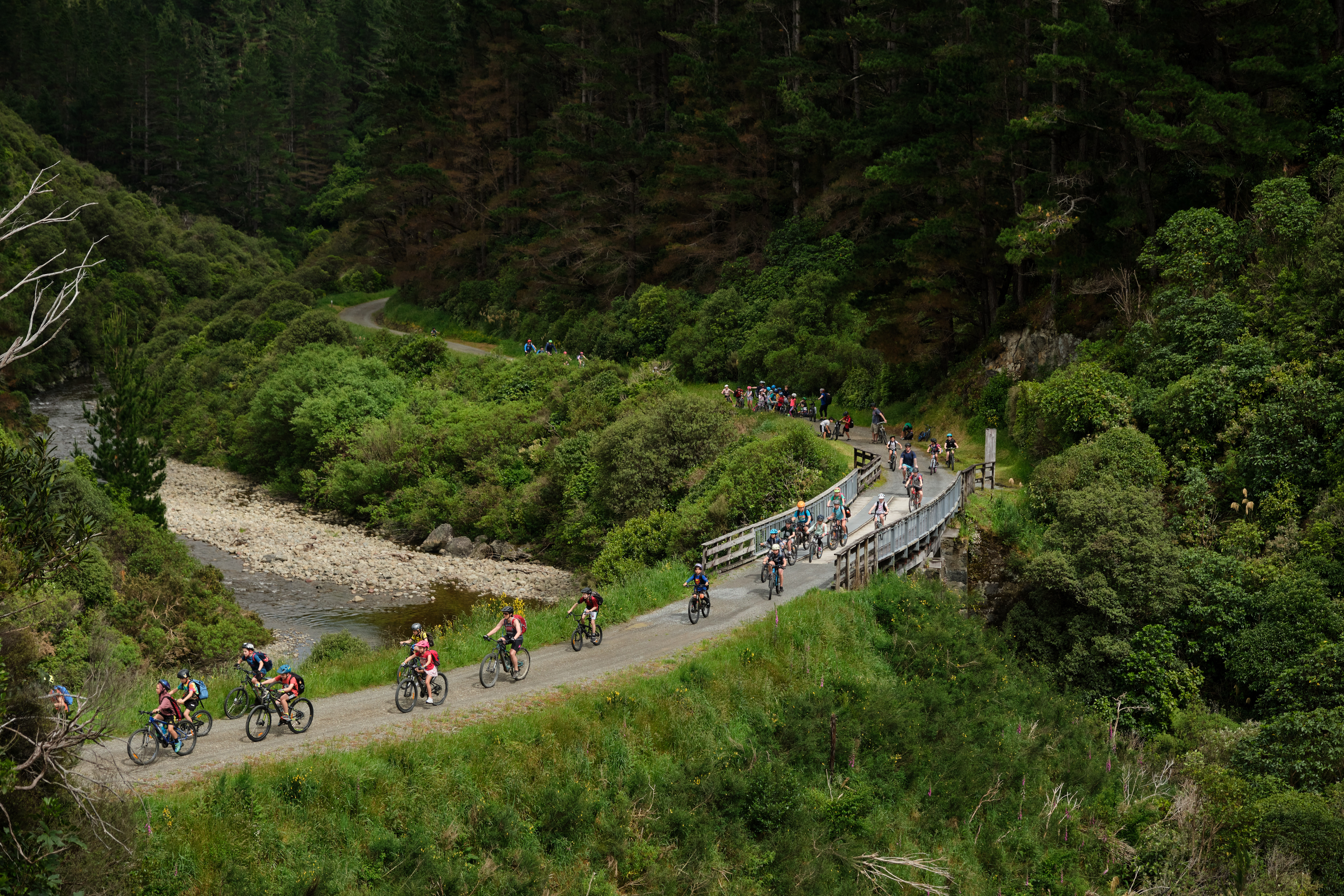 A row of cyclists bike along the Remutaka Rail Trail