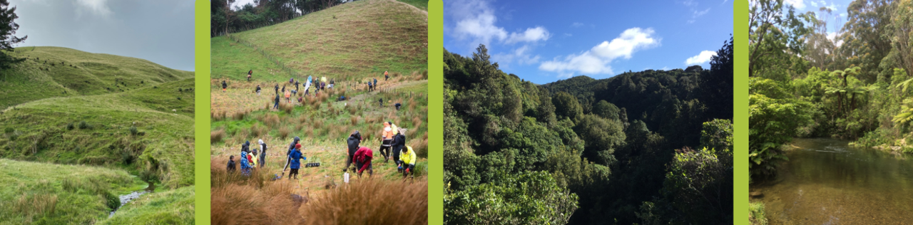 Four pictures of landscapes in regional parks