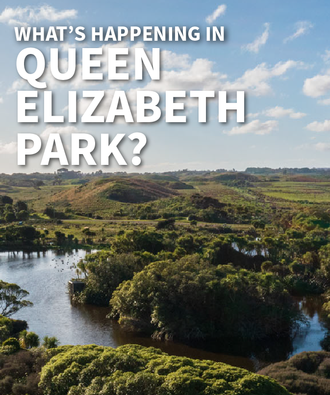 "What's happening in Queen Elizabeth Park" overlaid on a high angle view of wetlands in the park