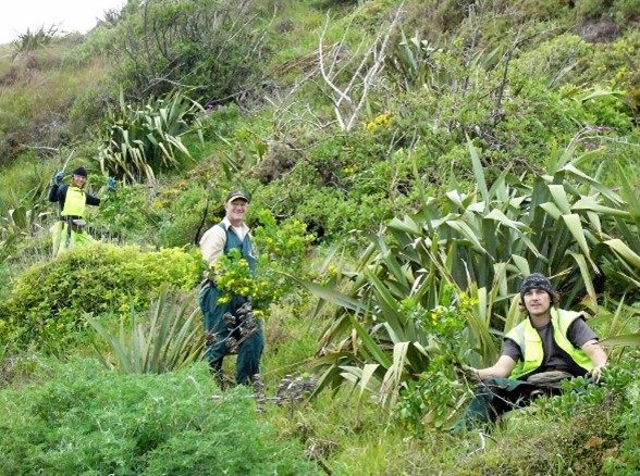 Volunteers weeding in QEP