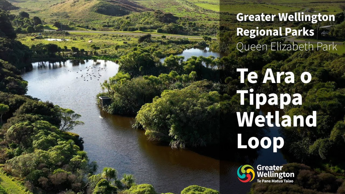 High angle view of Te Ara o Tipapa Wetland Loop