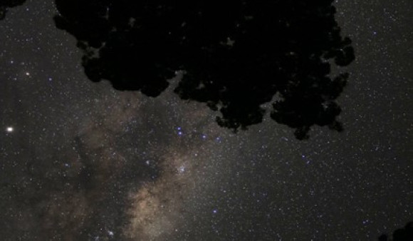 Stars in the Park - POSTPONED