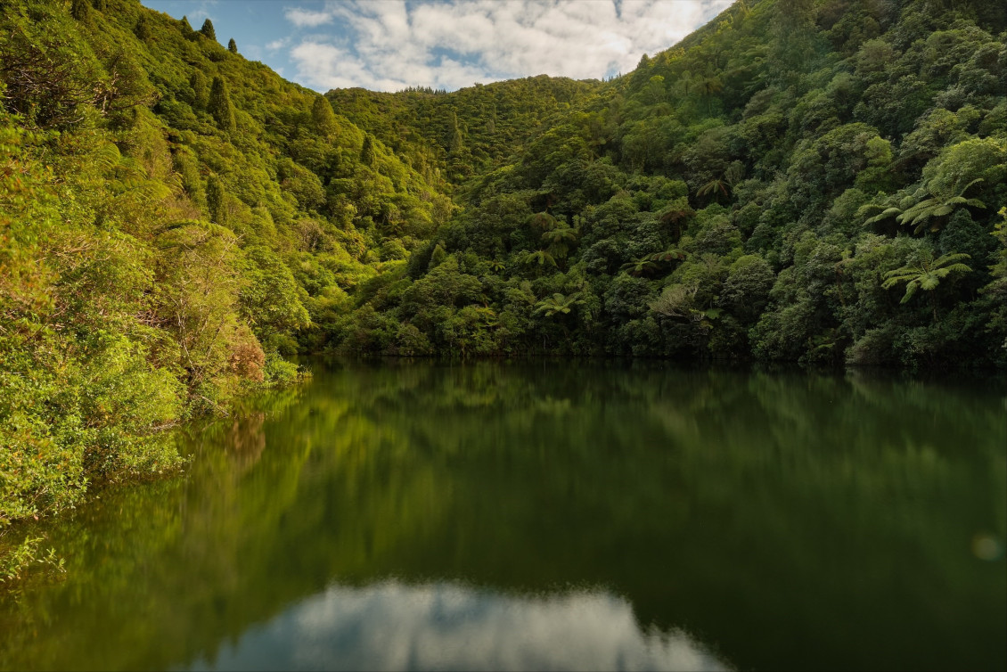 A view of a lake and hillside in Akatarawa Forest