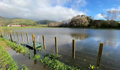 flooded wetland