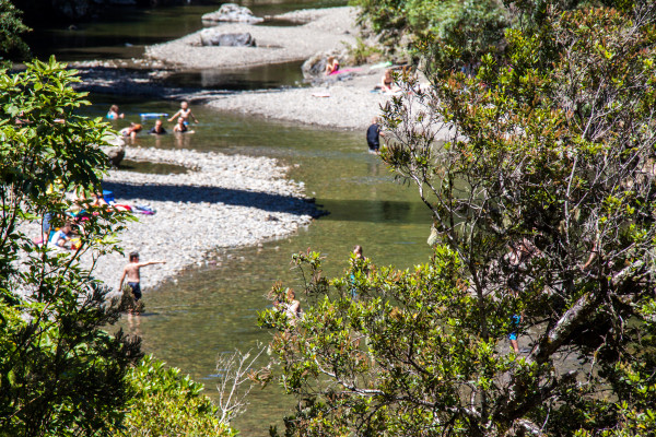 A view through the trees to the river at Kaitoke Regional Park