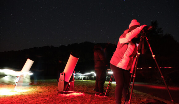 wainuiomata recreation area trees 11