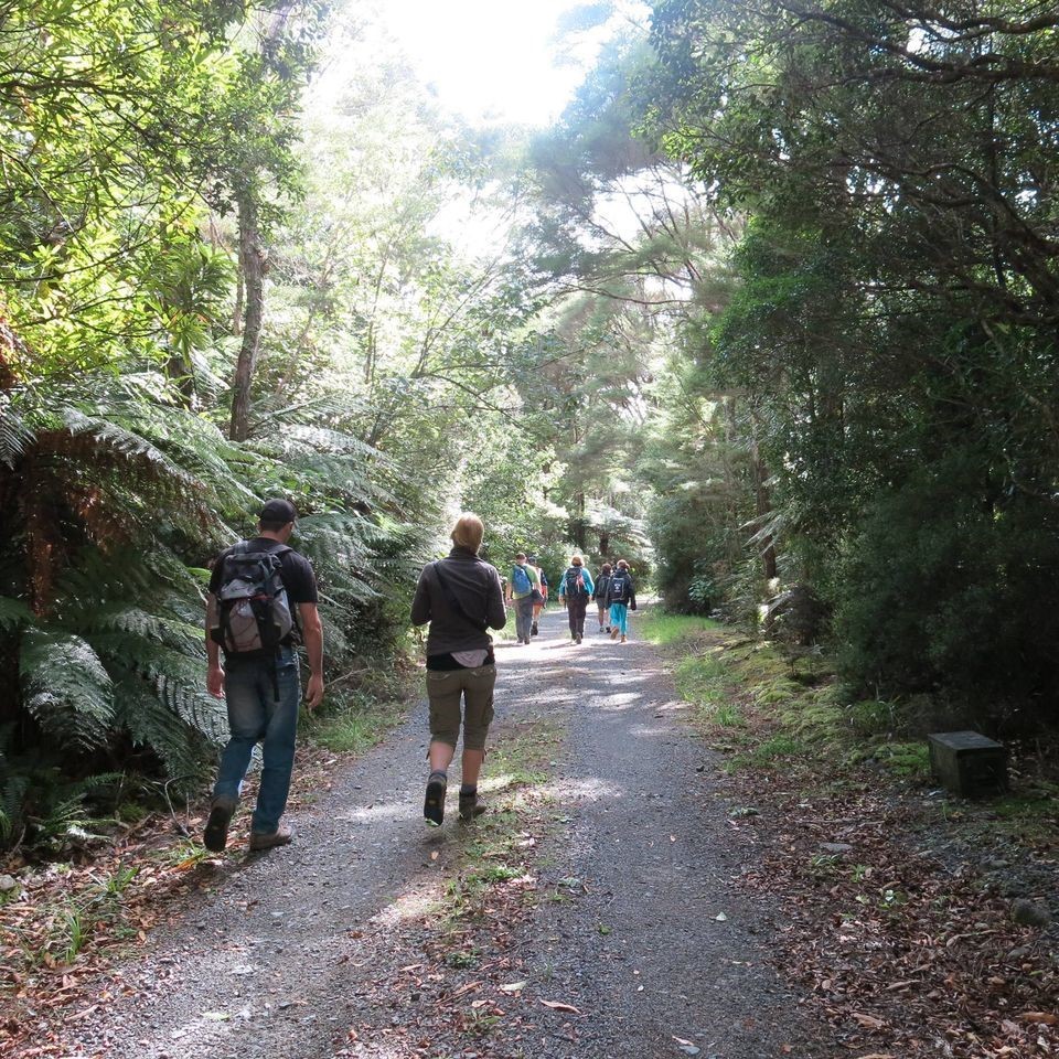 wainui water walk