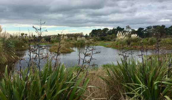 1.7 Wairio Wetland