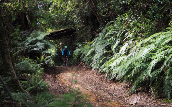 Explore our regional parks and forests