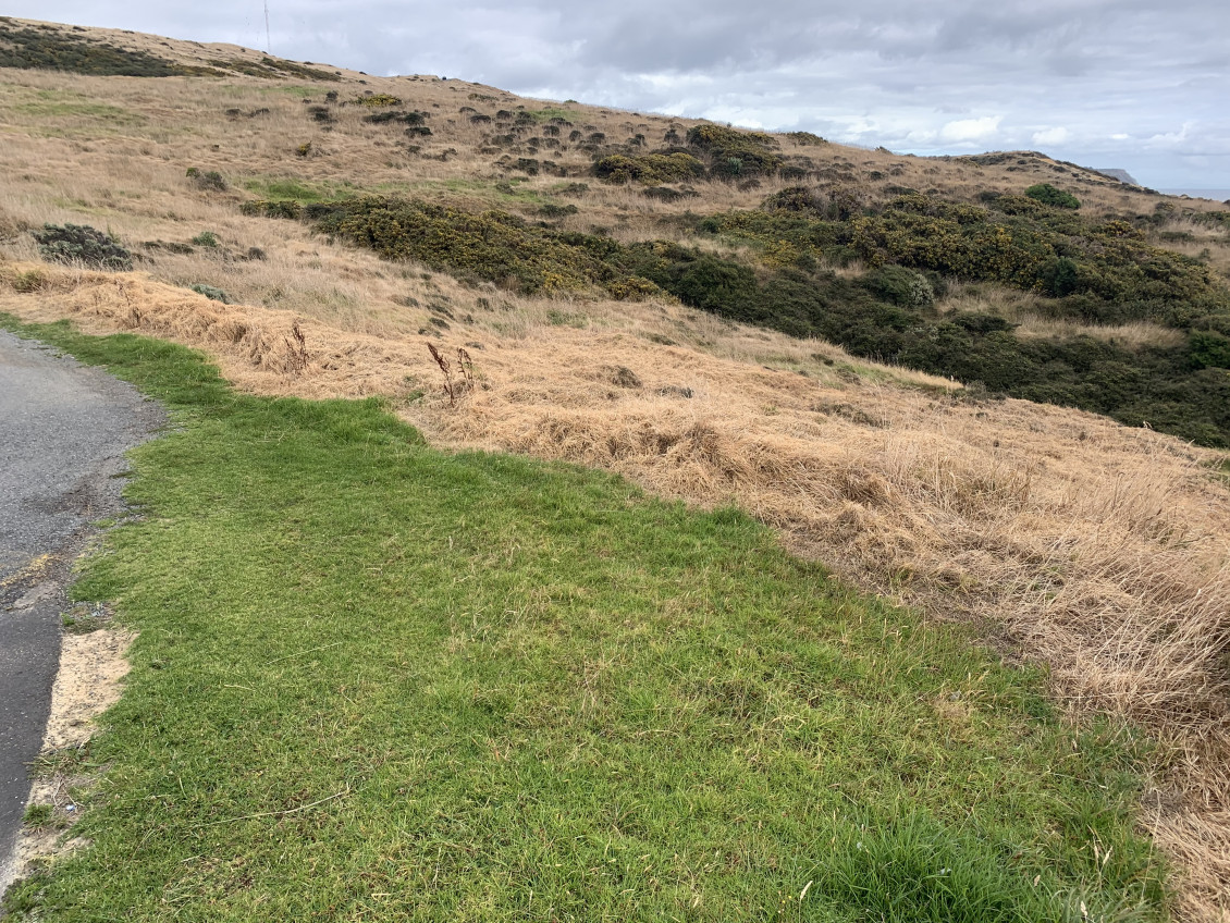 Shows weed spraying leaving behind large patches of dead grass