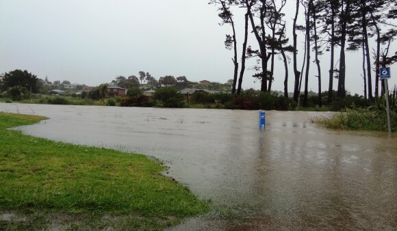 Kapiti FHM image 2 1