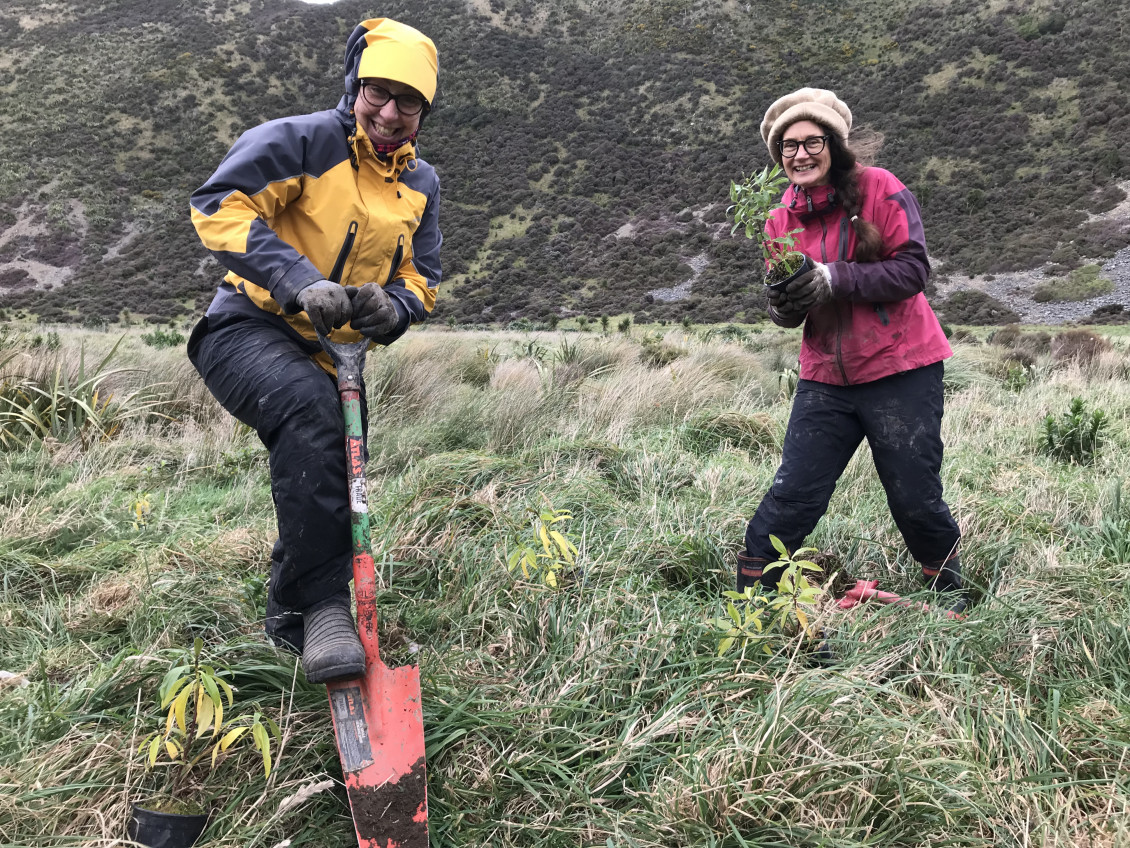 Volunteers planting at Baring Head and Parangarahu Lakes
