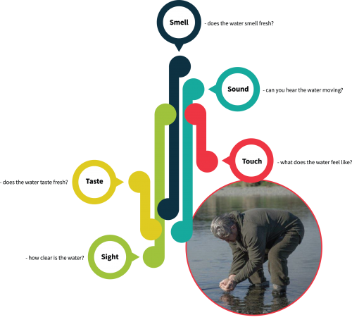 Five senses image. Smell, sound, touch, taste and sight.