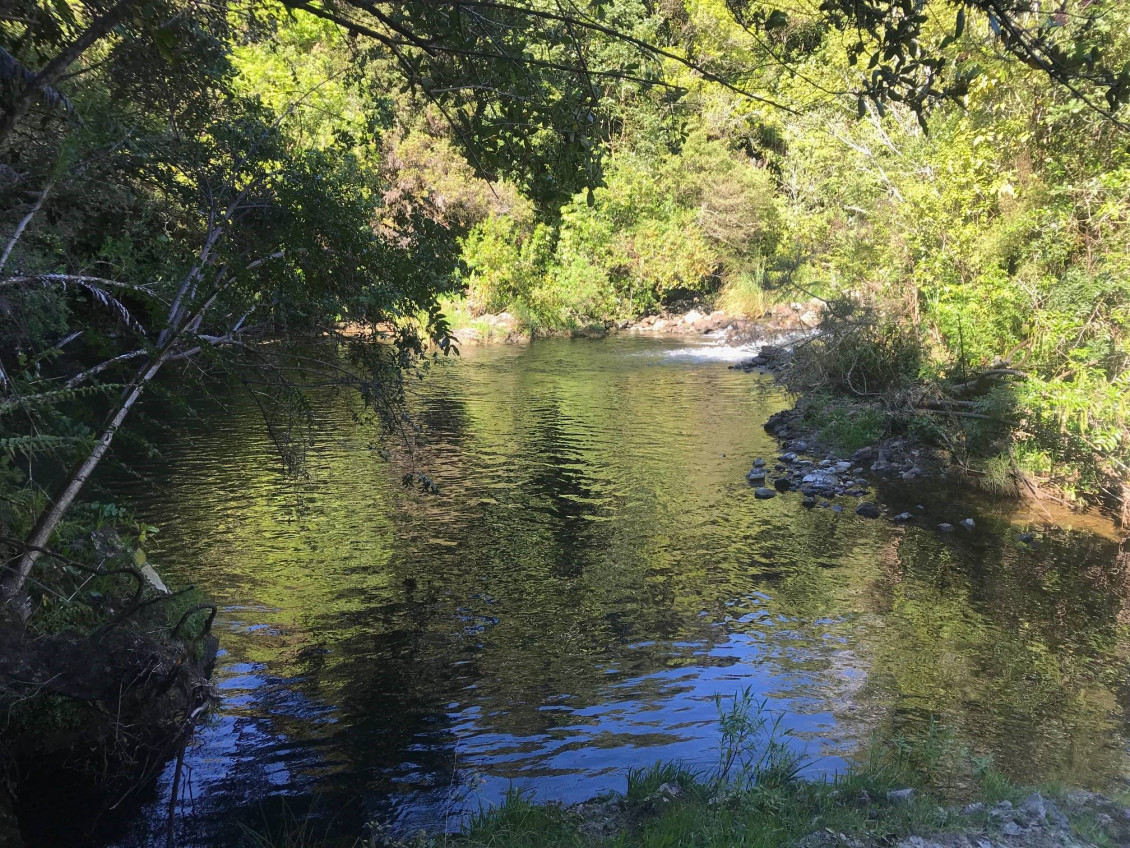 View of a stream in Wainuiomata Recreation Area