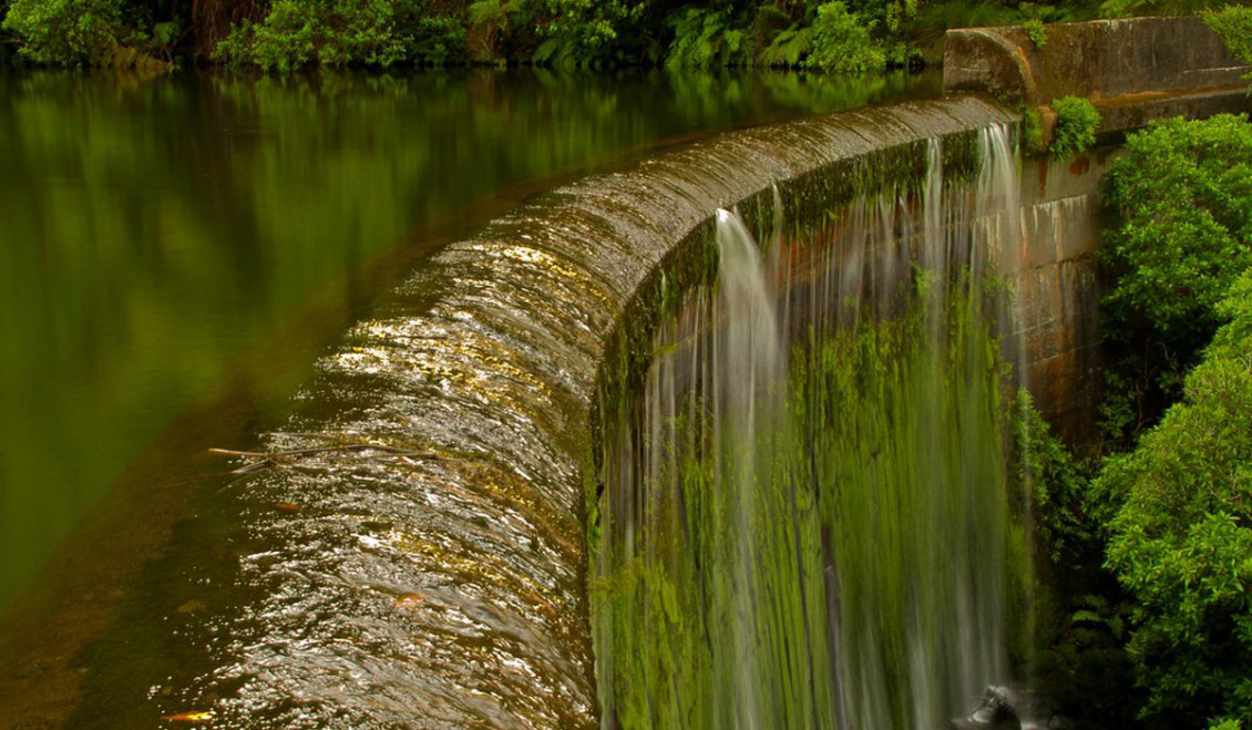 Article Image retina 1200x700px Akatarawa forest ScaleMaxWidthWzExMzBd