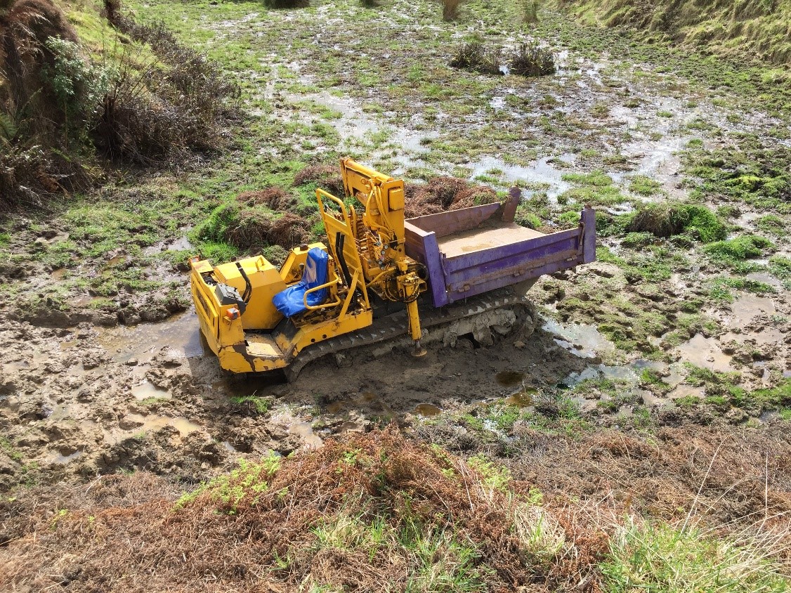 Wetland damage at the property