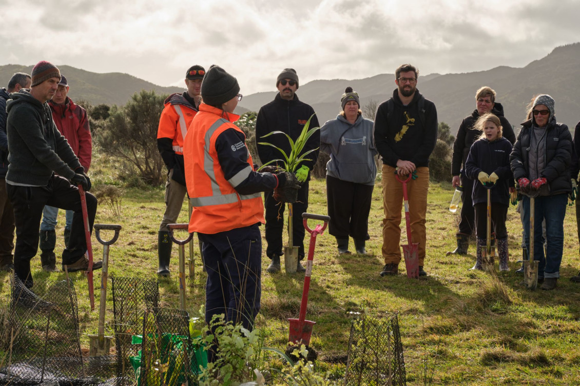 Rōpu Tiaki planting day