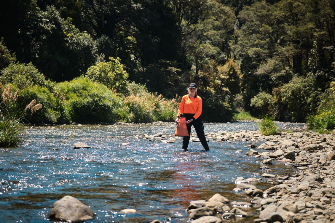 A Greater Wellington staff member wearing high-vis and standing in a river to monitor toxic algae