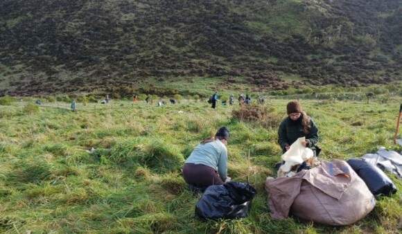 Baring Head Orua Pouanui planting