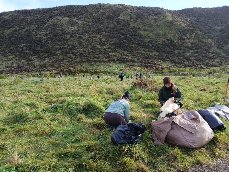 Baring Head Orua Pouanui planting