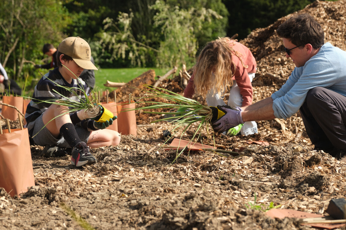 Young volunteers planting seedlings on a sunny day