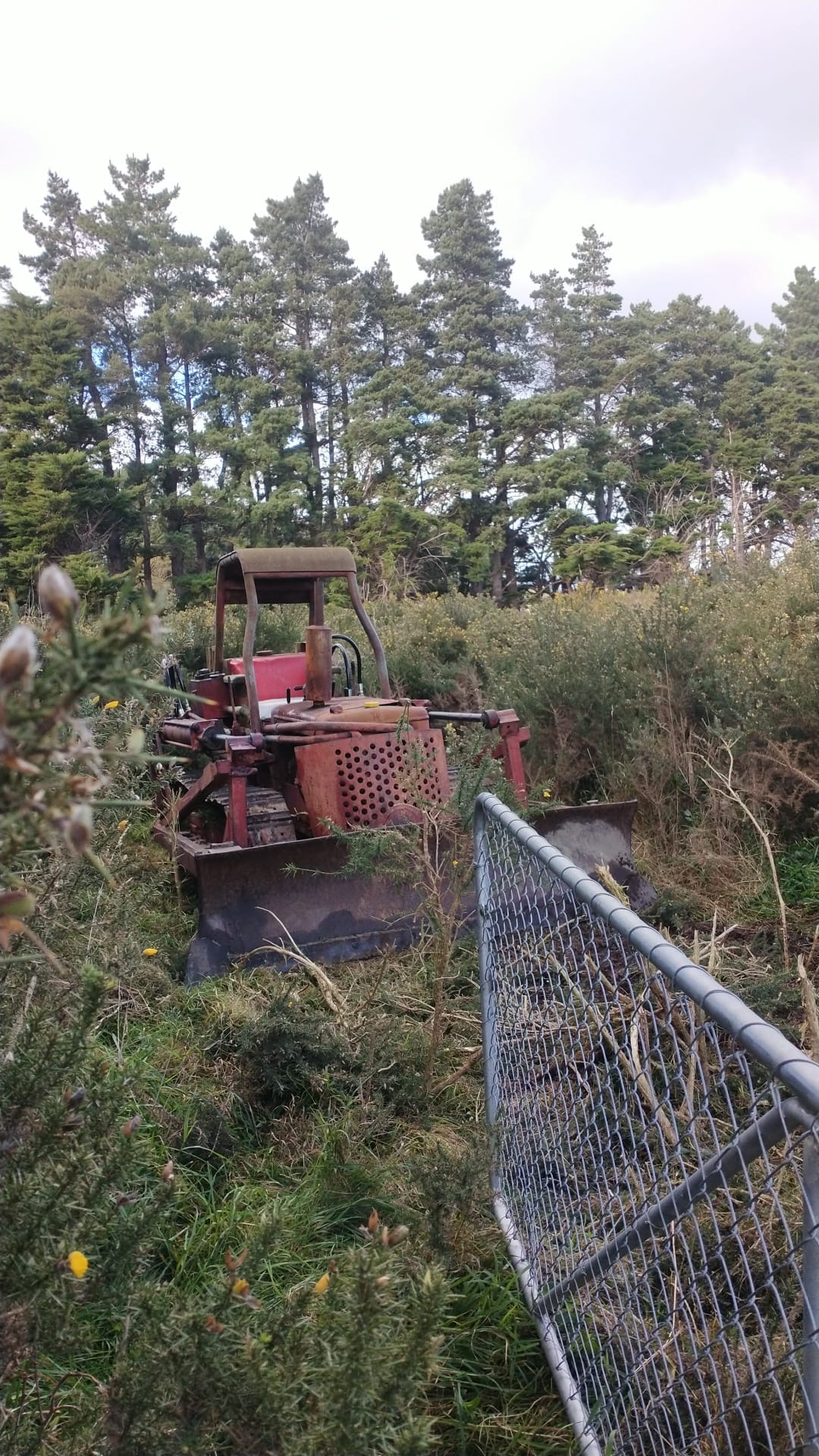 Vintage red bulldozer used to crush weeds at Ōtauira Manga