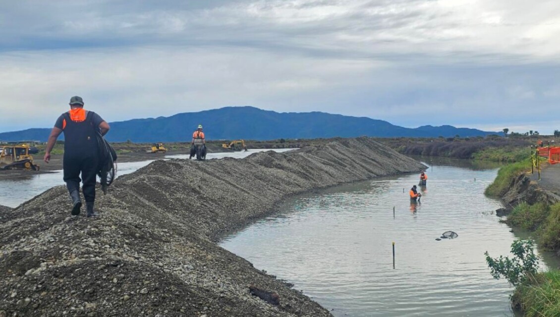 Rangatahi carrying fishing nets in Waikanae River estuary