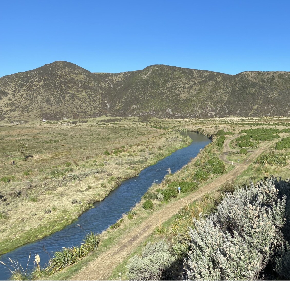 Wainuiomata Stream